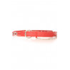 Ceinture Rouge effet troué avec des strass. Accessoire BG-P016 - 2