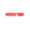 Ceinture Rouge effet troué avec des strass. Accessoire BG-P016 - 4